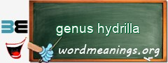 WordMeaning blackboard for genus hydrilla